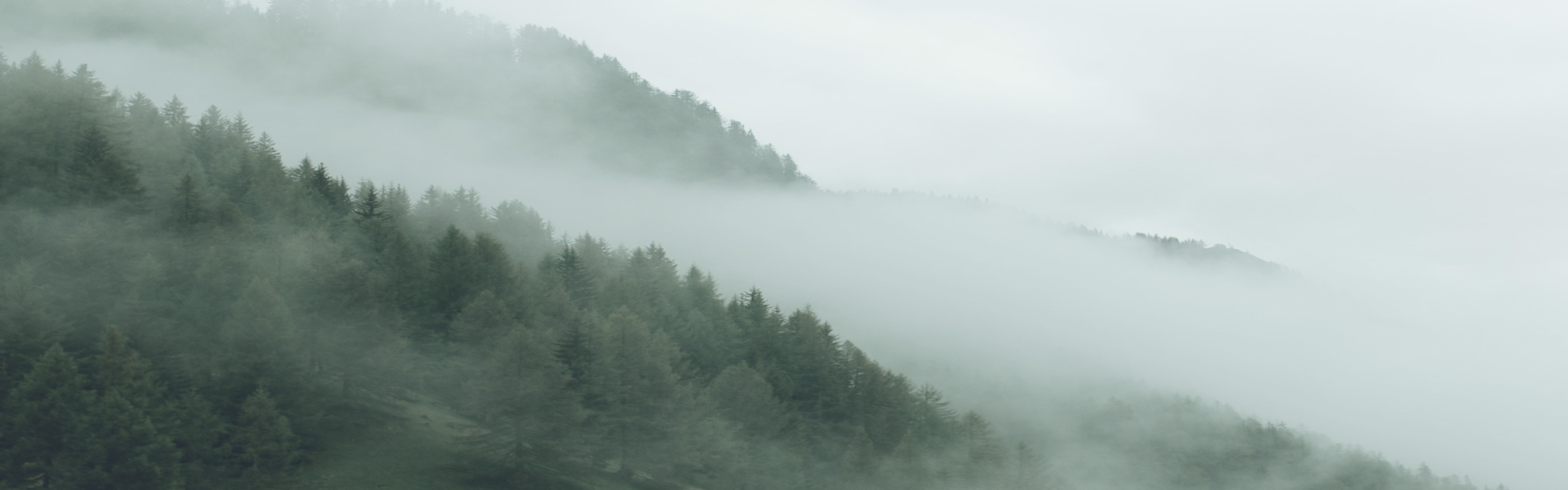 Warmth, Professional, Sustainable